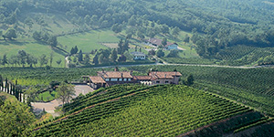 Chi siamo