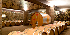 compri dal produttore