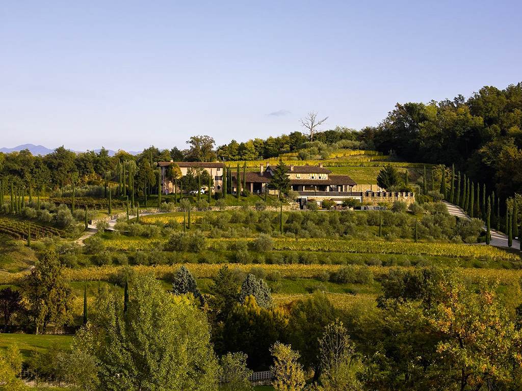 Siamo in Friuli, nel nord-est dell’Italia, dove le pieghe dei Colli Orientali rivelano piccole e grandi aziende agricole.